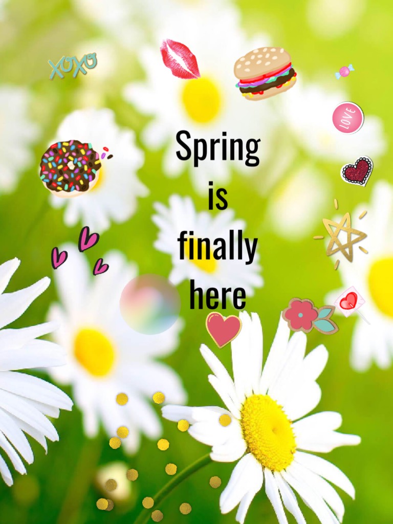 Spring is  finally here 