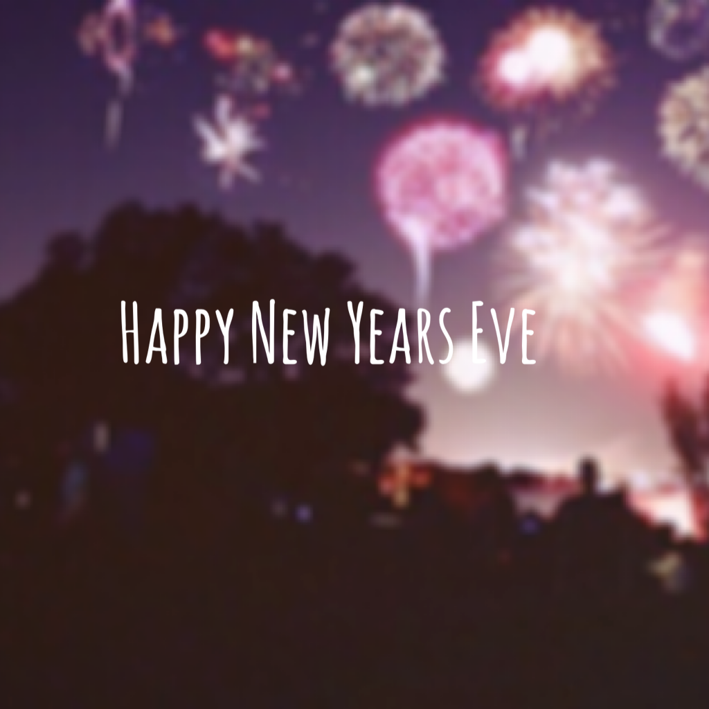 Happy New Years Eve everyone! I hope you guys had a great year. Love ya buds. Bye!