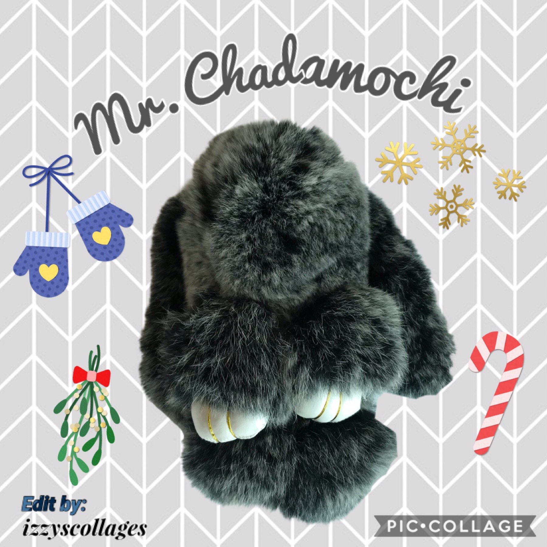 Meet Mr. Chadamochi! My bunny! Credit to izzyscollages! You should definitely check out her amazing account! Thx!