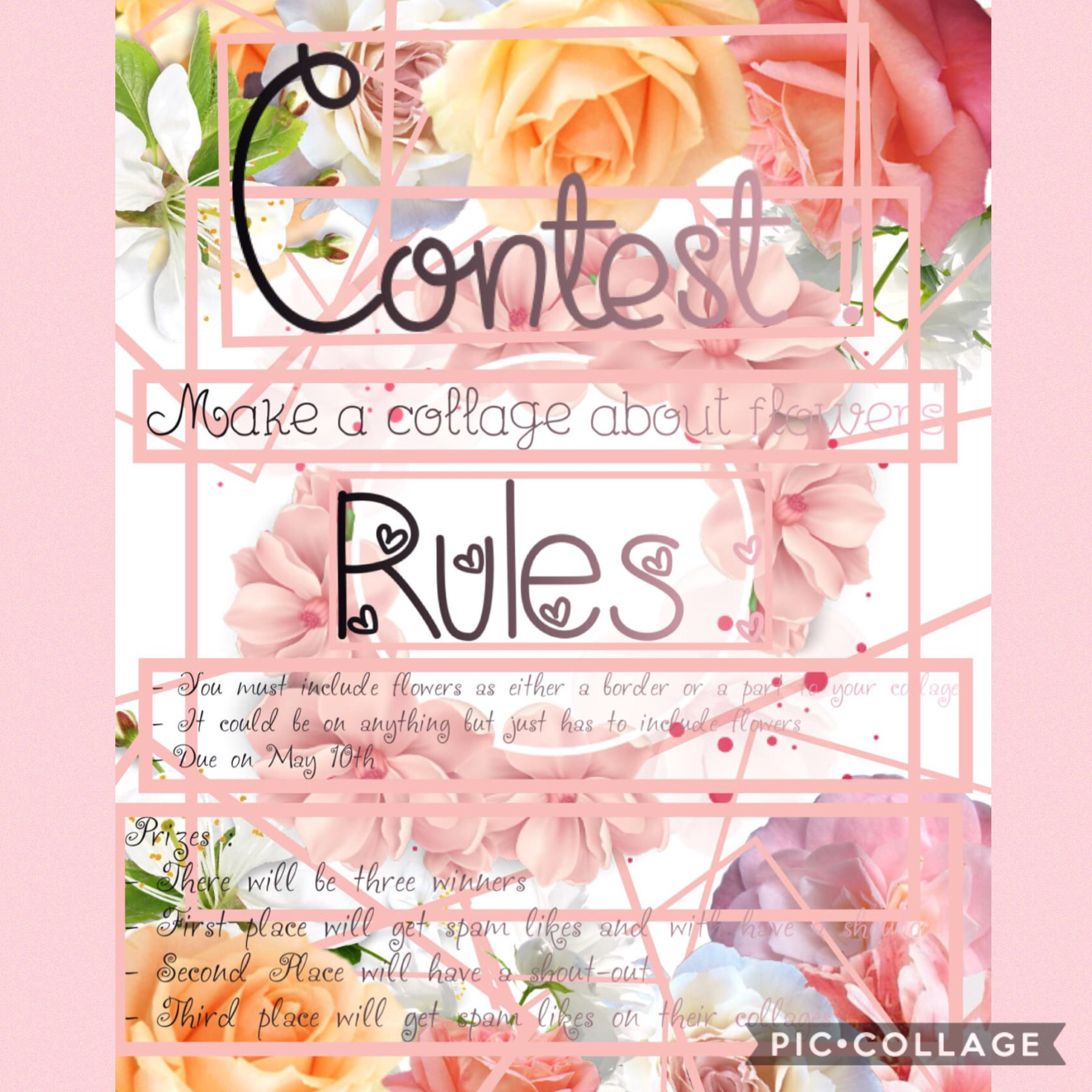 Peeps guys and participate and my friends contest! Her name is Rose-Cr3me