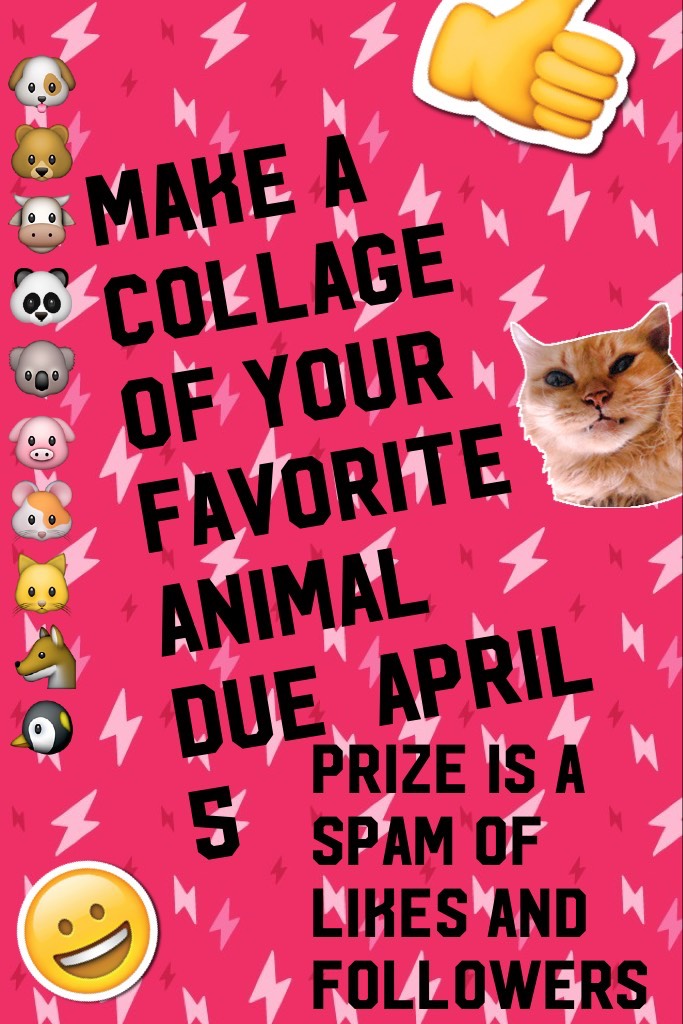Make a collage of your favorite animal due  April 5