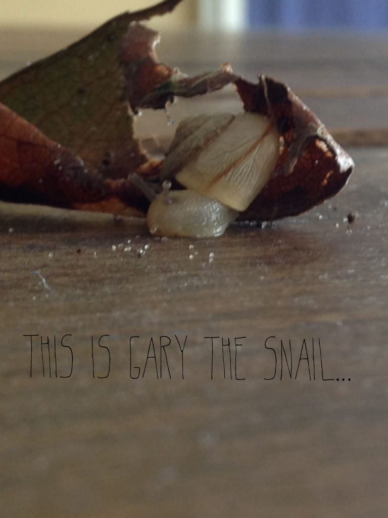 This is Gary the snail...