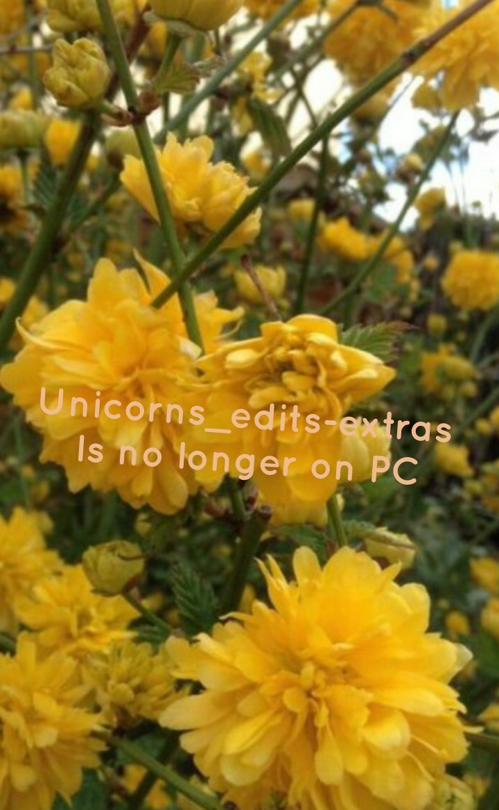 Unicorns_edits-extras 
Is no longer on PC