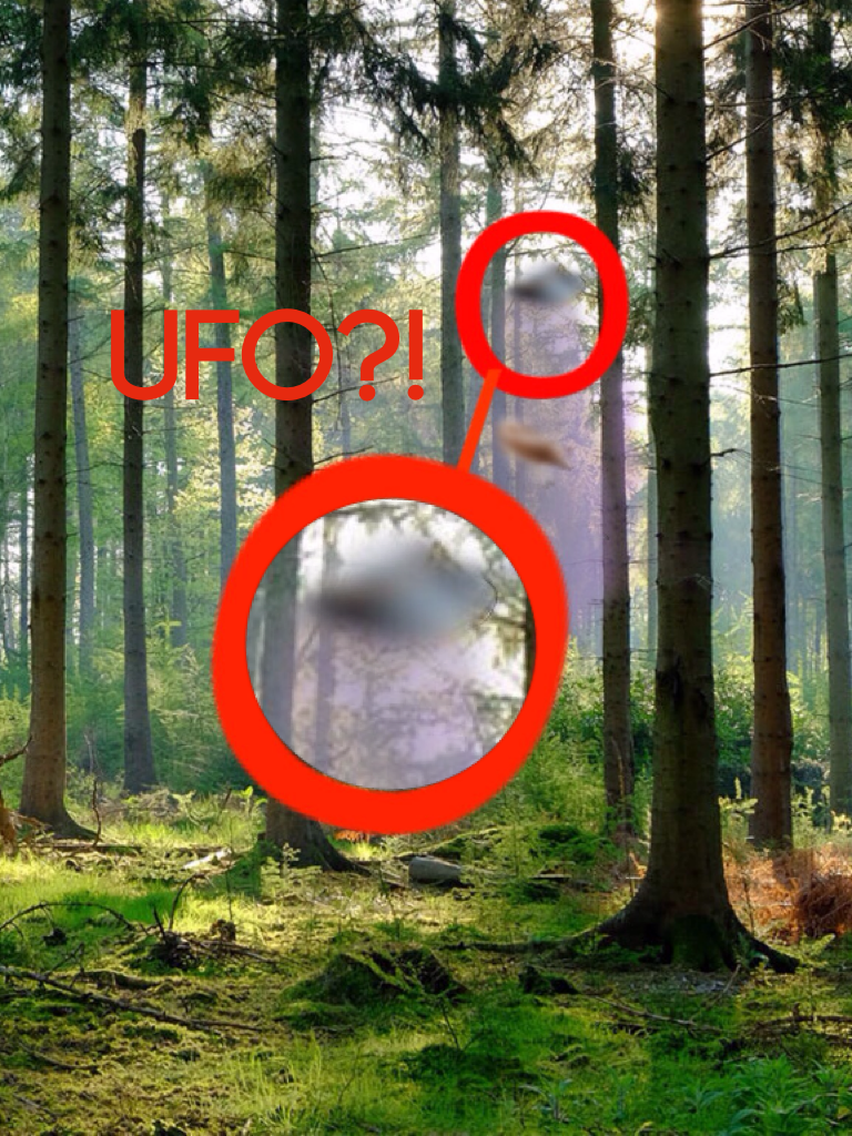 UFO?!