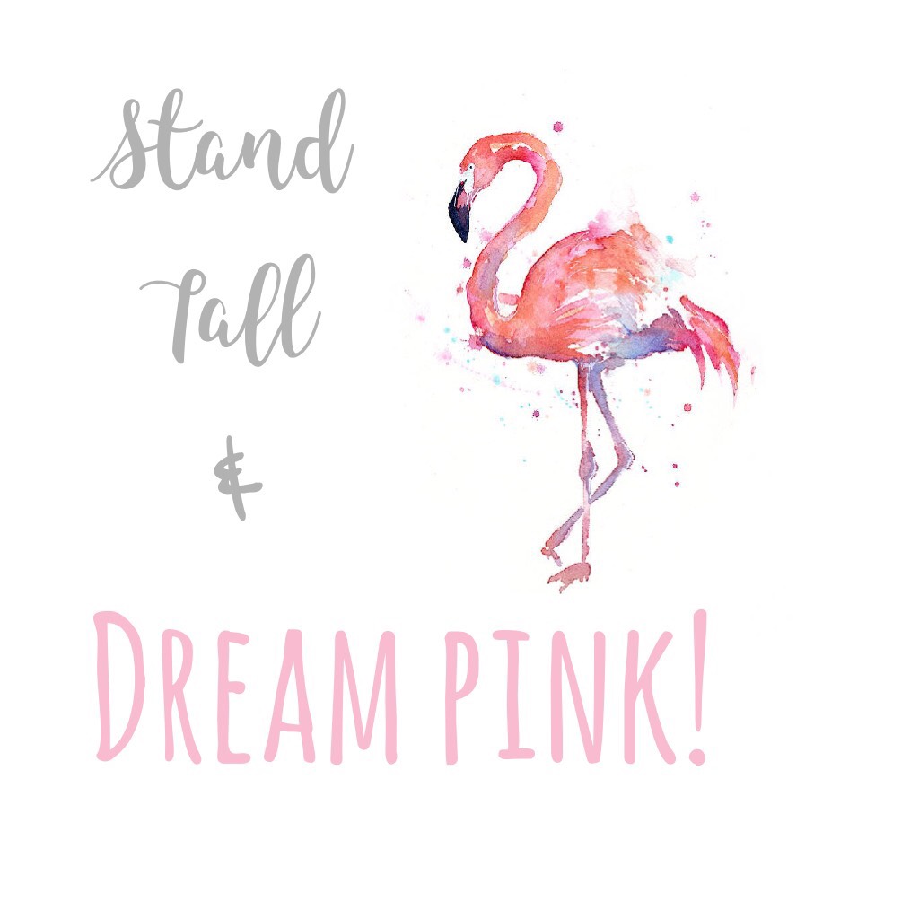 Dream pink! I though I would spread some cheer , the new year has started and it’s time for goals and dreams to begin 😊😊