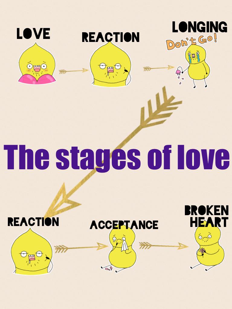 The stages of love.