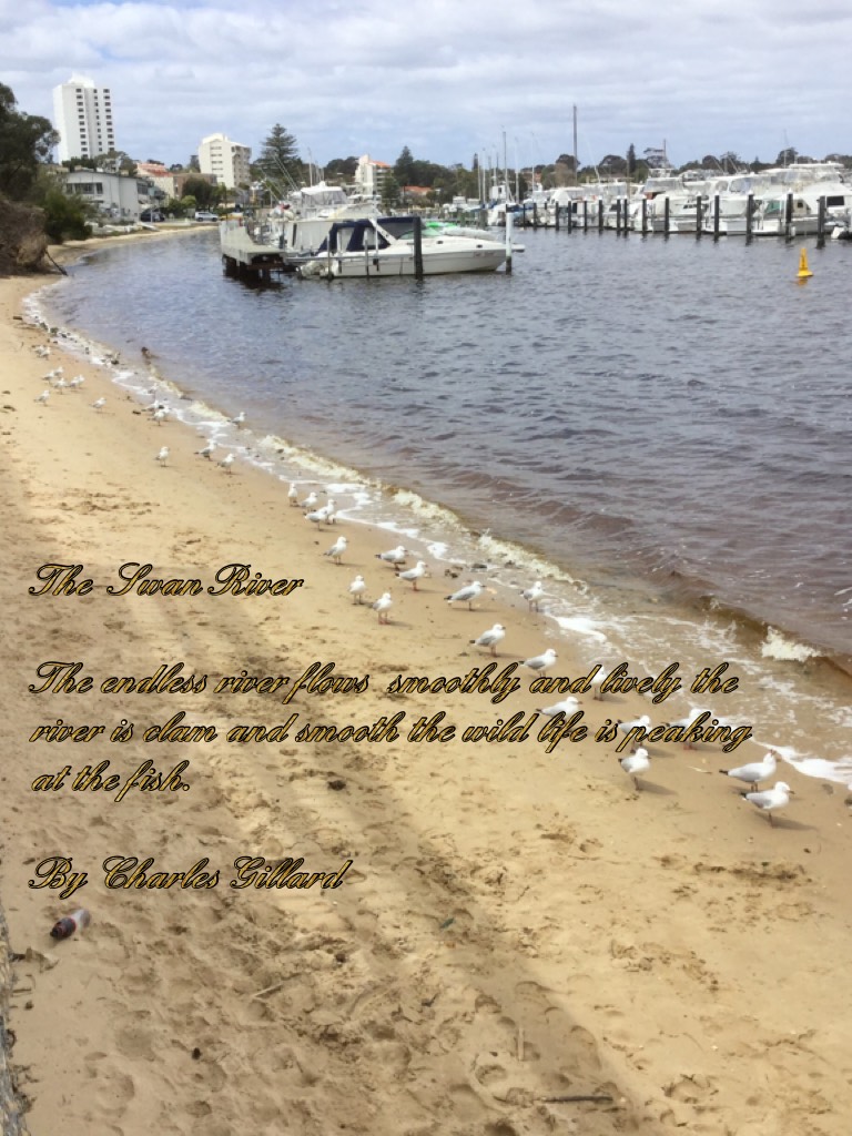 The  Swan River 

The endless river flows  smoothly and lively the river is clam and smooth the wild life is peaking at the fish. 

By Charles Gillard 