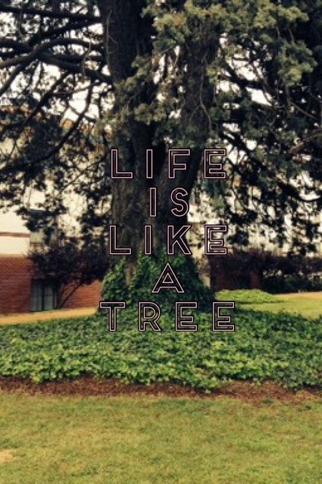 Life is like a tree