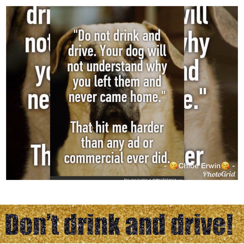Don’t drink and drive!!!😥😥😥
