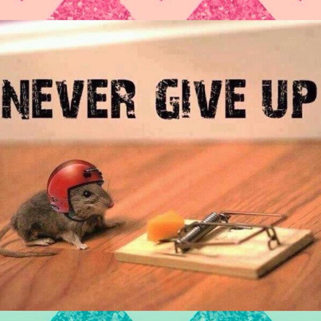 Never give up little mousy!