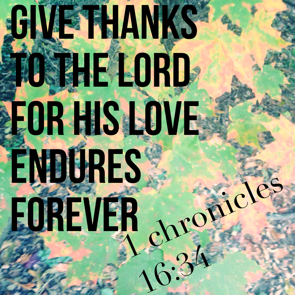 Give thanks to the lord for his love endures forever 