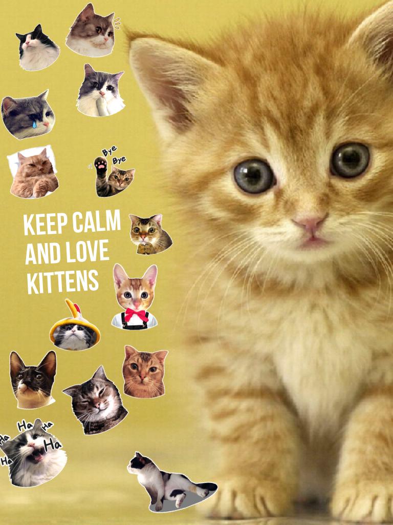 Keep calm and love kittens