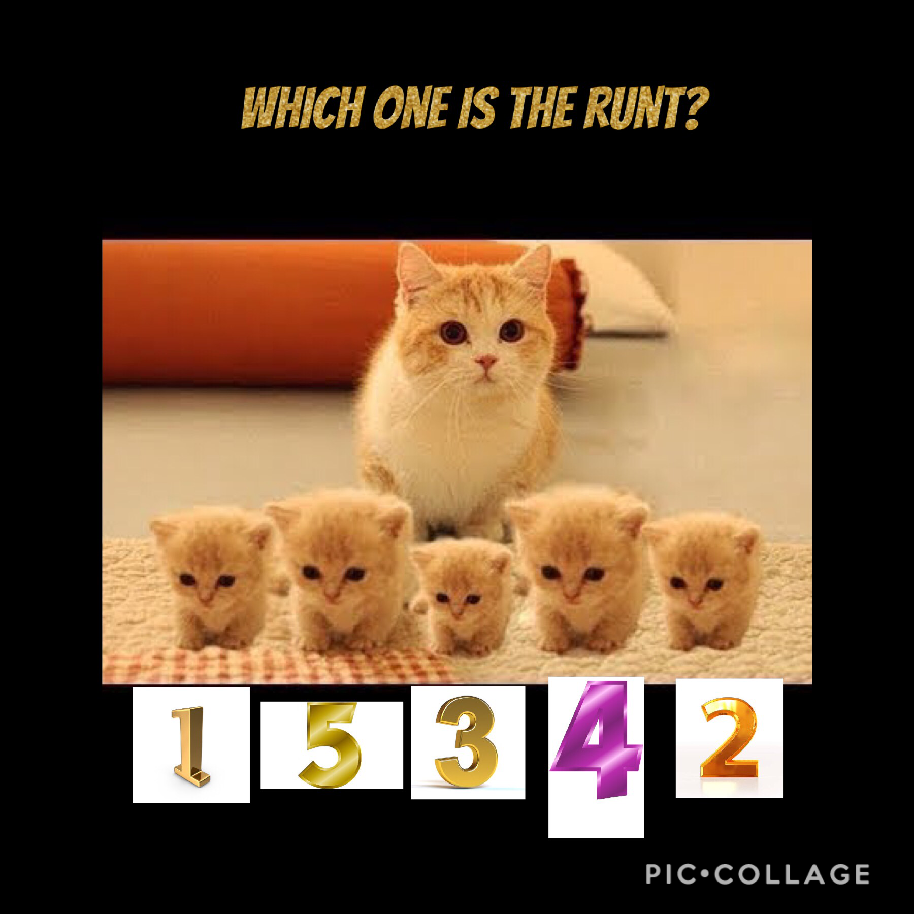 Can you guess which one? Write a reply in the comments!