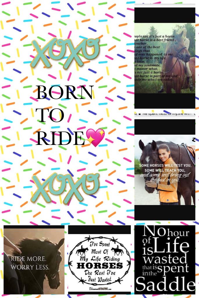 💖Born To Ride💖
🐴Angel🐴is my horse and she is my life she is 14.1/2 hands.she is a black Arab pony with lots of go I love her endlessly❤️would trade the world 🌎 for her 👍