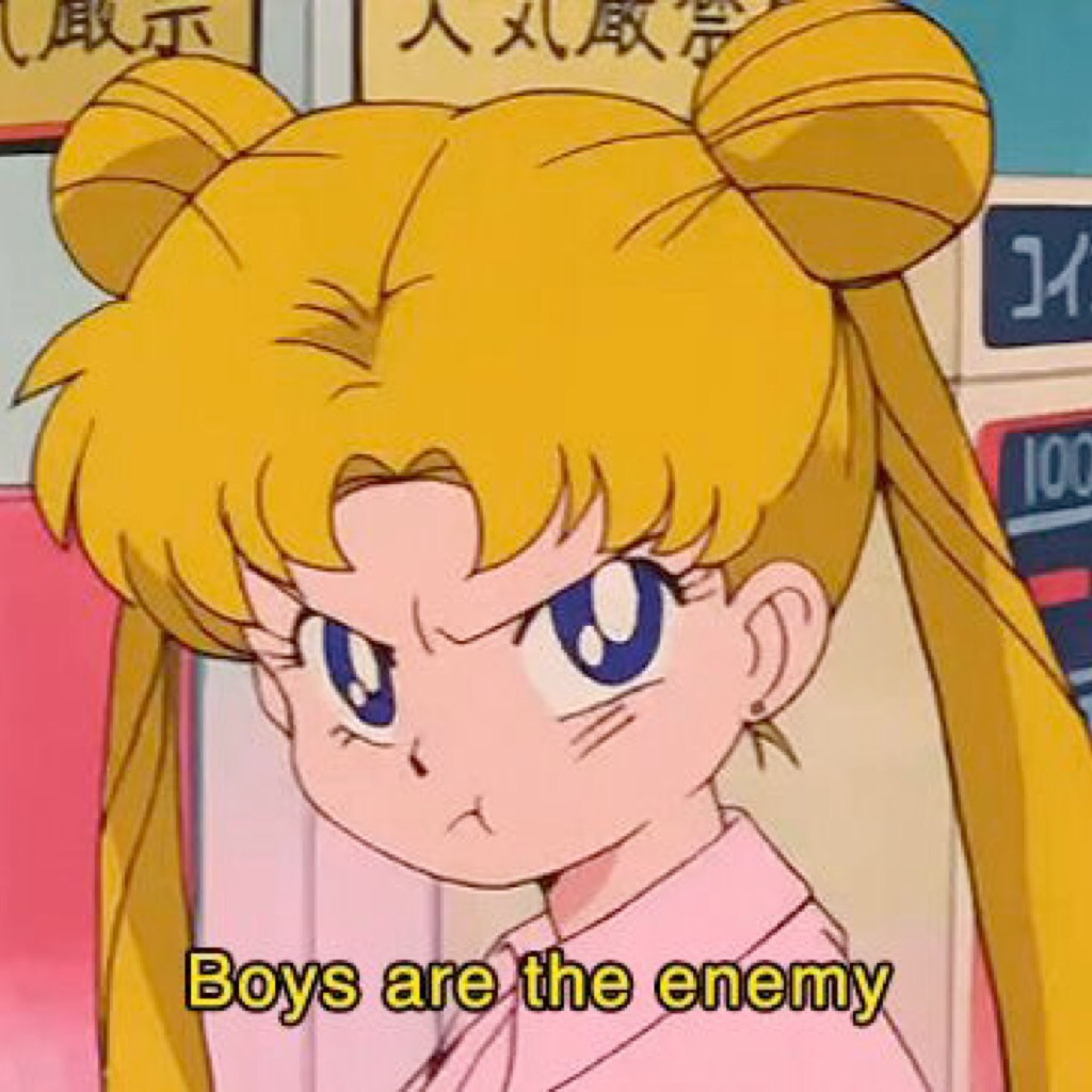 Boys are the enemy!!! -Usagi aka Sailor Moon