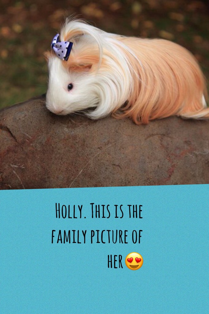 Holly. This is the family picture of her😍