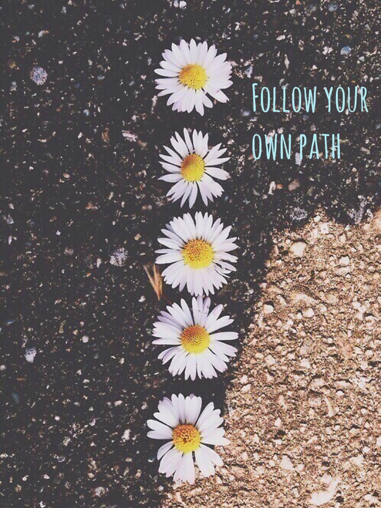 Follow your own path