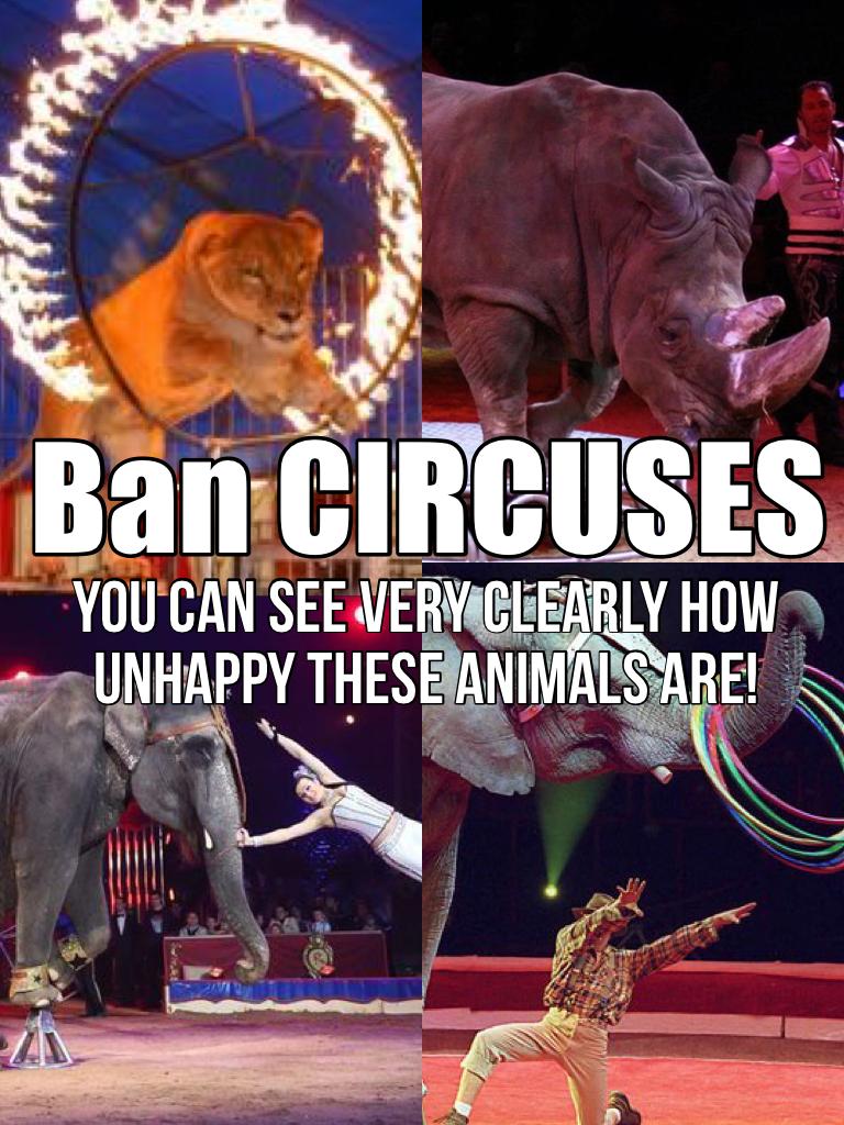 Circuses are for people, not animals! 