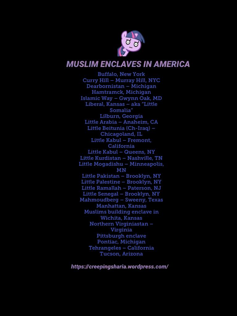 MUSLIM ENCLAVES IN AMERICA