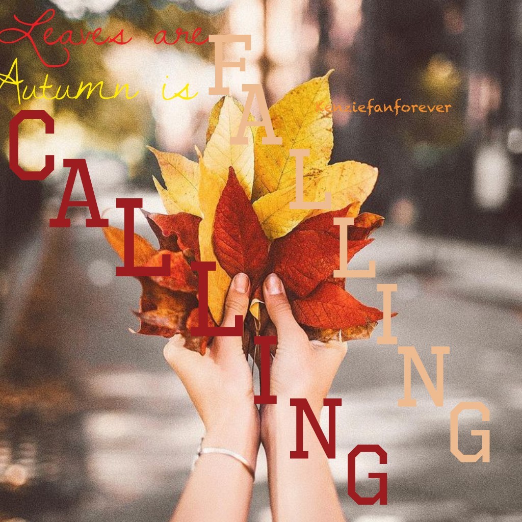 🍁Tap🍁

🍂Happy Autumn🍂

😬Sorry again for being inactive. I am very busy!😬

follow my other account @ Yo_Makaylah

QOTD: Favorite season
AOTD: 🌸Spring🌸