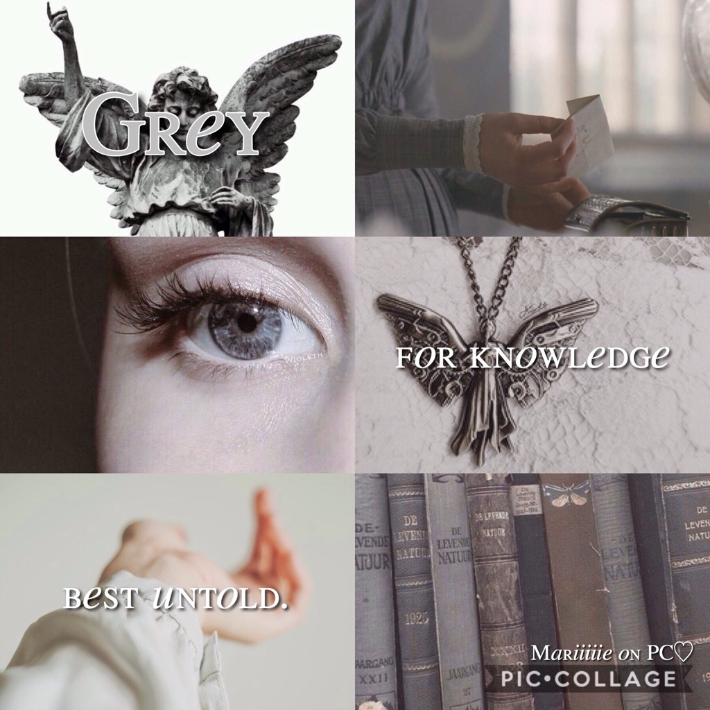 🕊- T A P -🕊

➰- Grey x Tessa -➰

QOTD - Last book you read?

AOTD - 1984 by George Orwell (we are studied the movie in my English class😊)

🌫