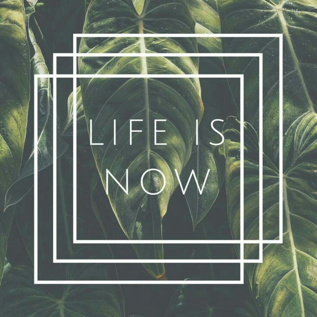 life is now live like there is no tomorrow 👌😁