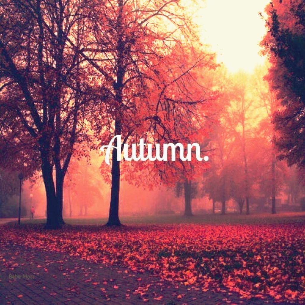 Summer is gone now 😭 but autumn is here😊
