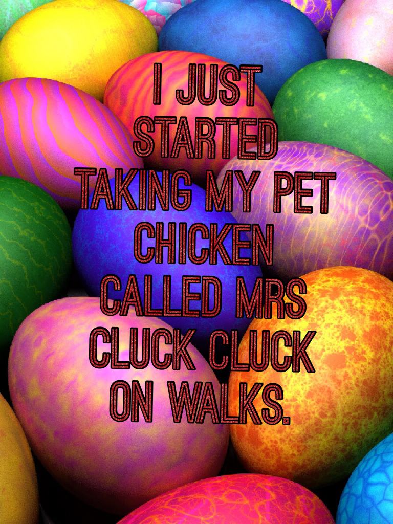 I just started taking my pet chicken called Mrs cluck cluck on walks.