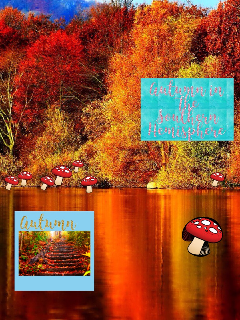 Autumn in The Southern Hemisphere 
This is my first Pic Collage!
I feel left out with all the spring stuff happening 😊😊