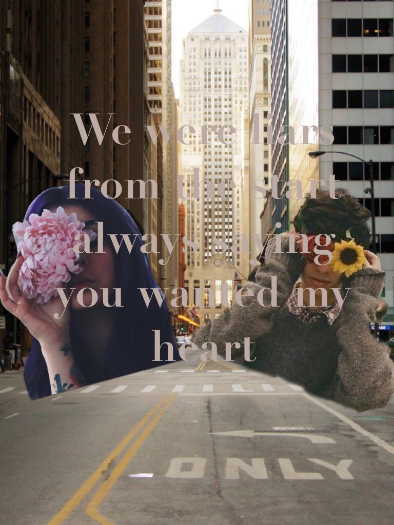 We were liars from the start always saying you wanted my heart 