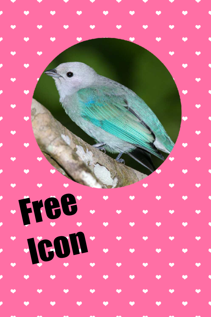 Free
Icon