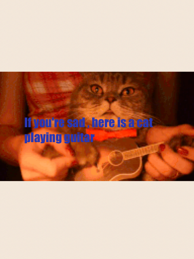 If you're sad , here is a cat playing guitar 