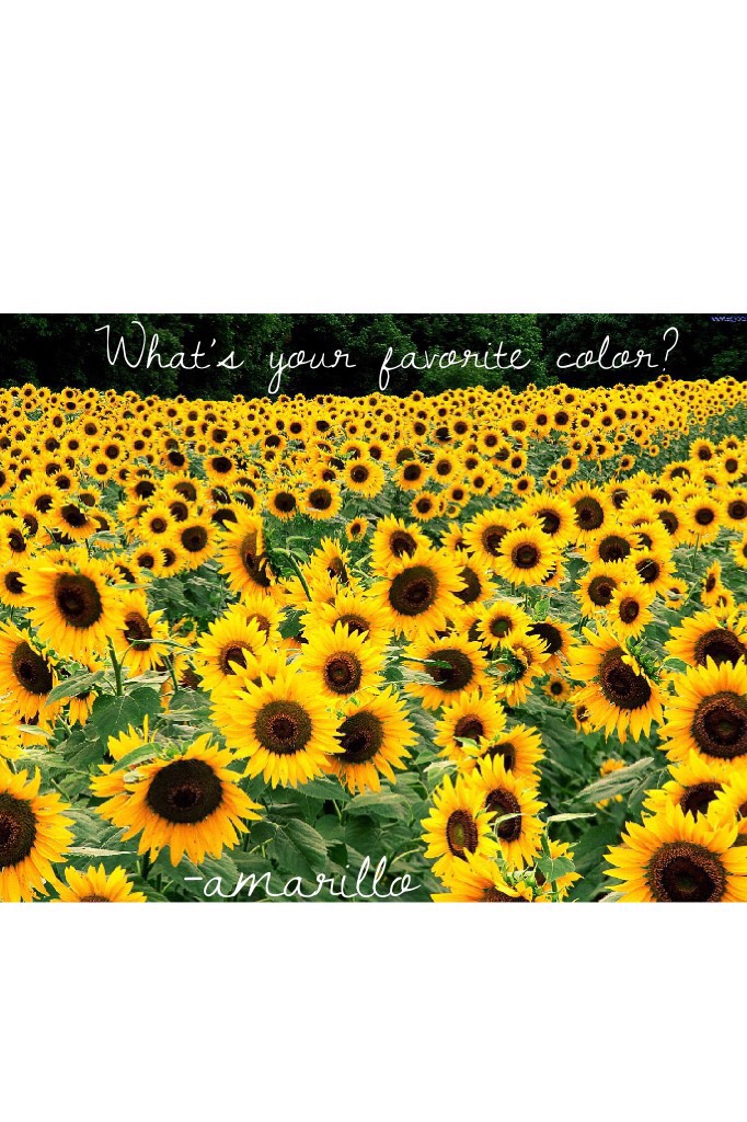 !!!Click!!!
I like the color yellow. I will never give my name, gender, where I live, or age. Theme: yellow, questions in picture, quotes in picture, story times, and more in caption 💛💛