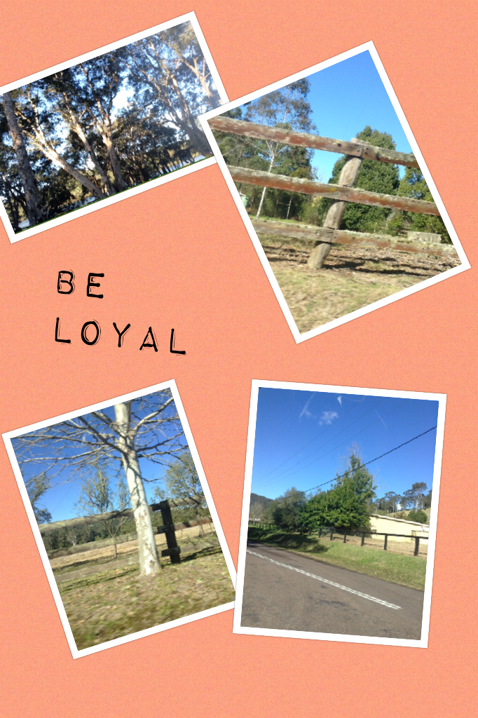 #Loyal