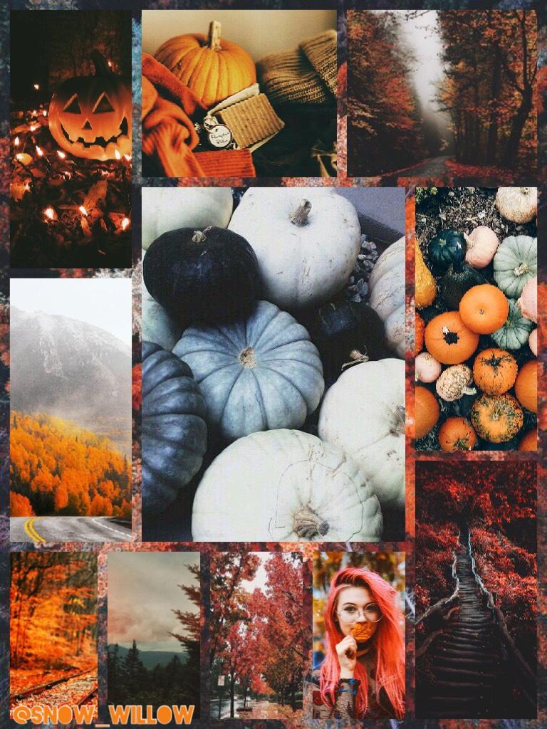 There, happy now?

I have made you a Halloween Aesthetic. Happy Halloween, stay safe, and have a great night!