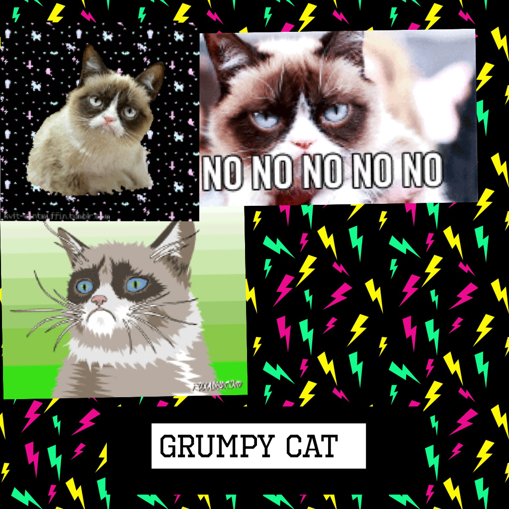Grumpy cat madness