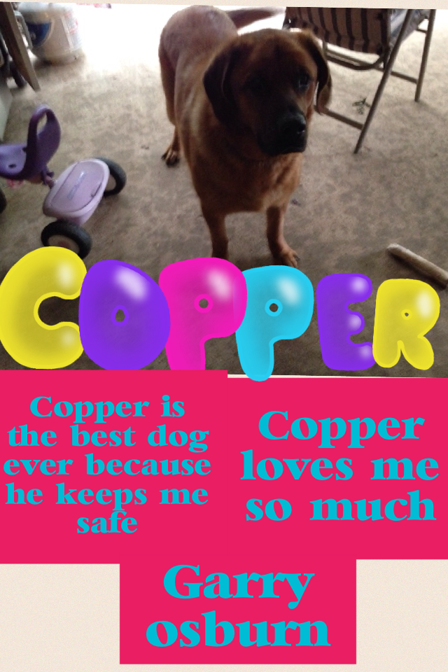 I am taking about my 4 year old dog name call copper osburn