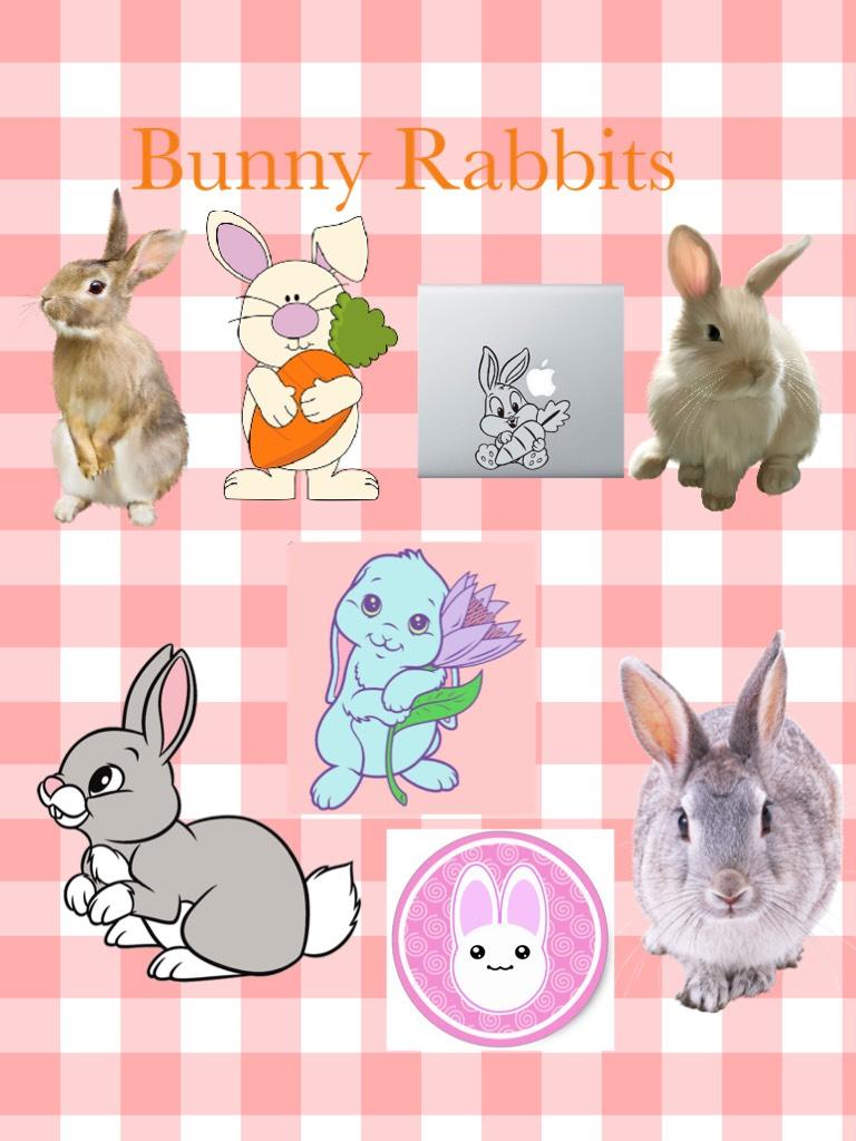 I love bunnies so much and I found so many cute pictures of bunnies 🐰 