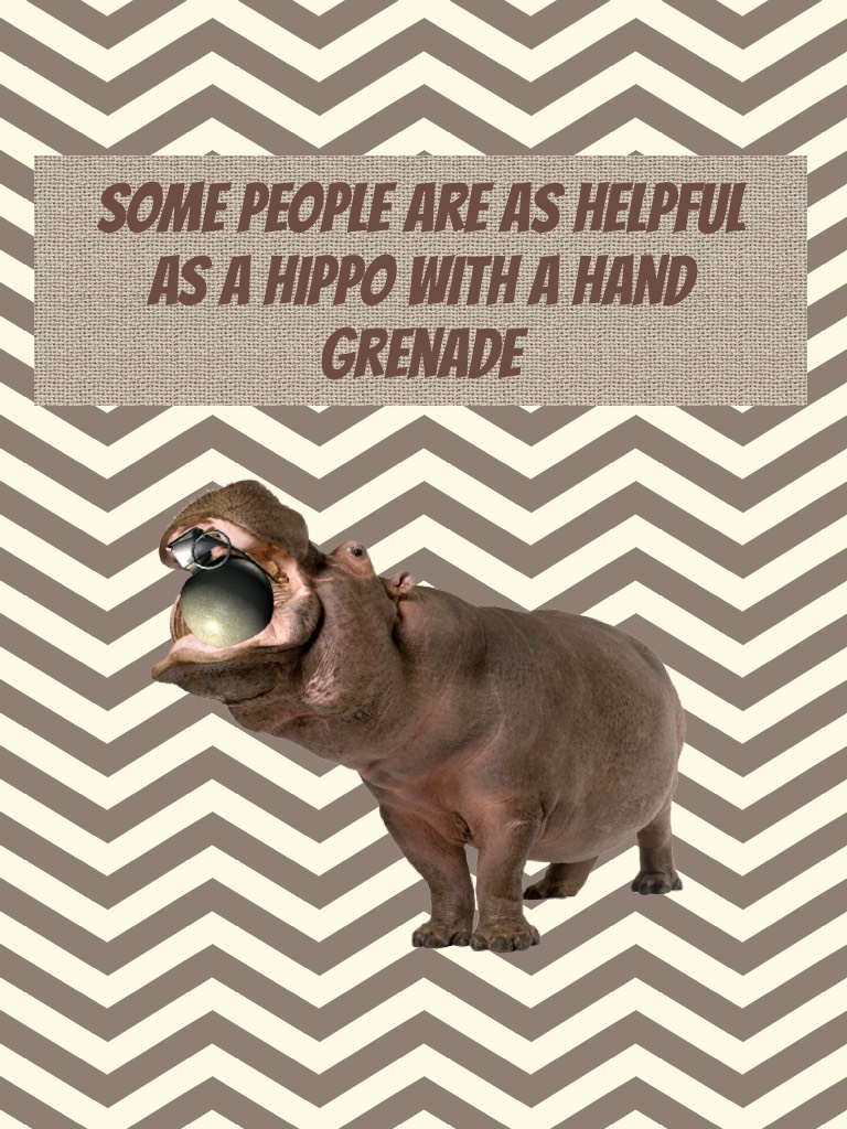Some people are as helpful
As a hippo with a hand grenade