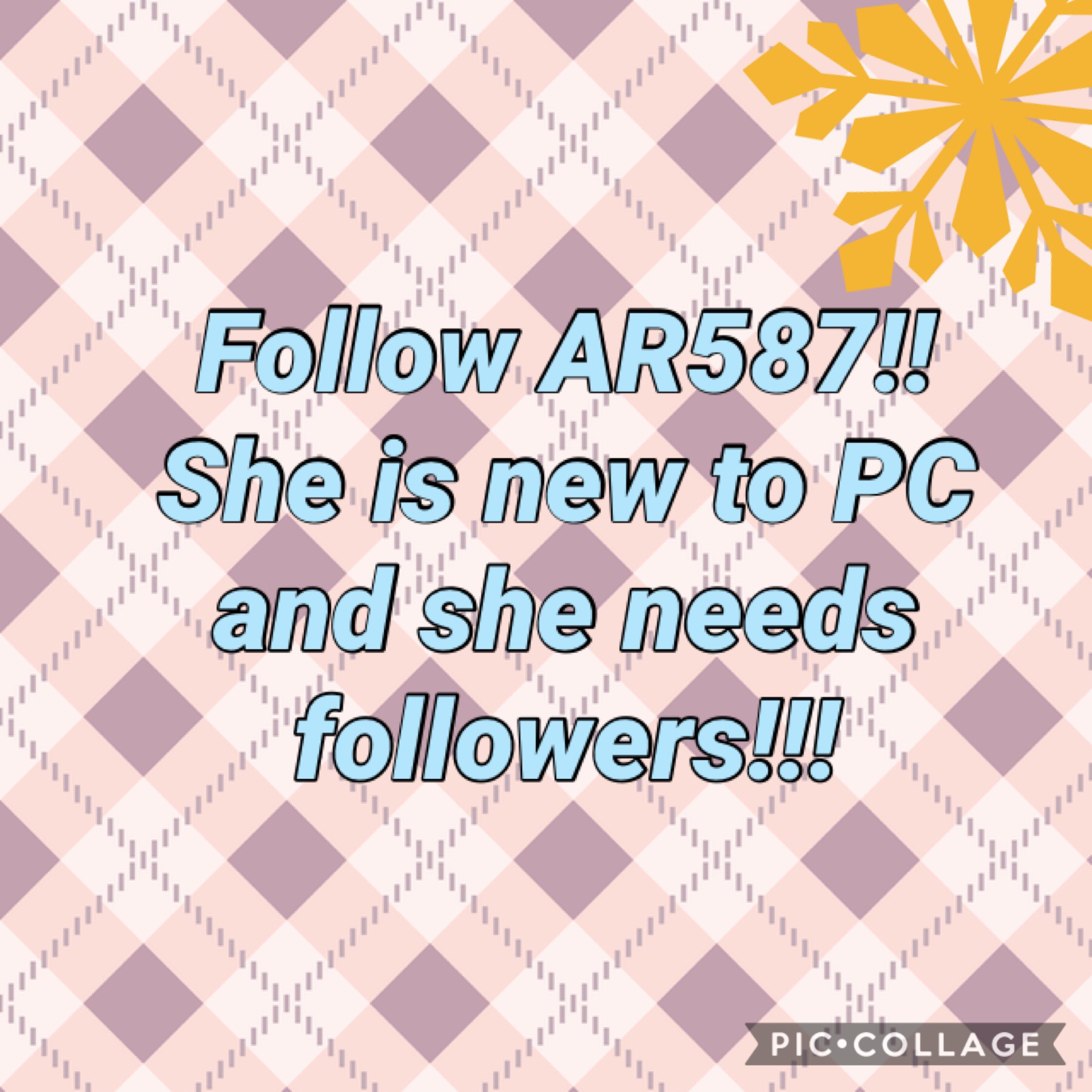 Help AR587 get to 50 followers!!( BTW she is my sister so I am trying to help her😊)