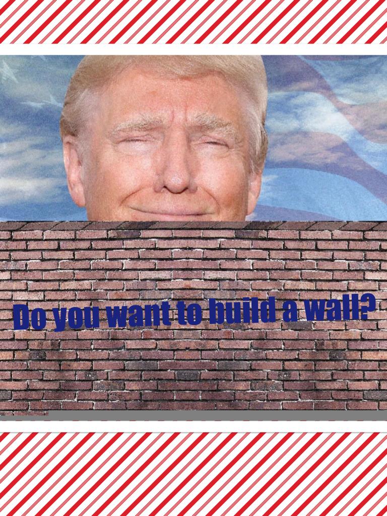 Do you want to build a wall?