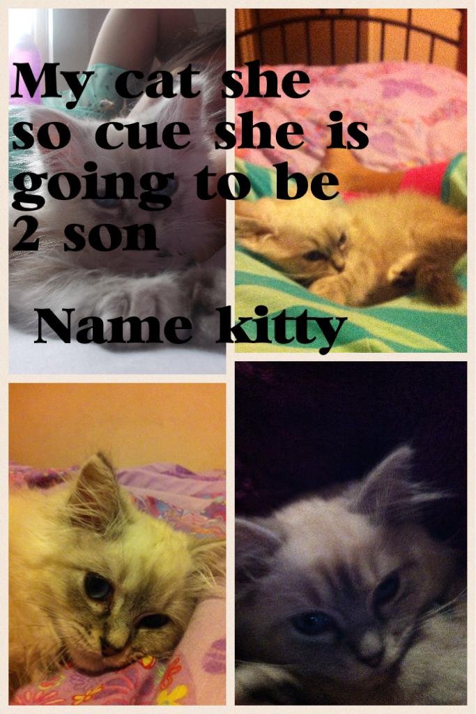 Name kitty
