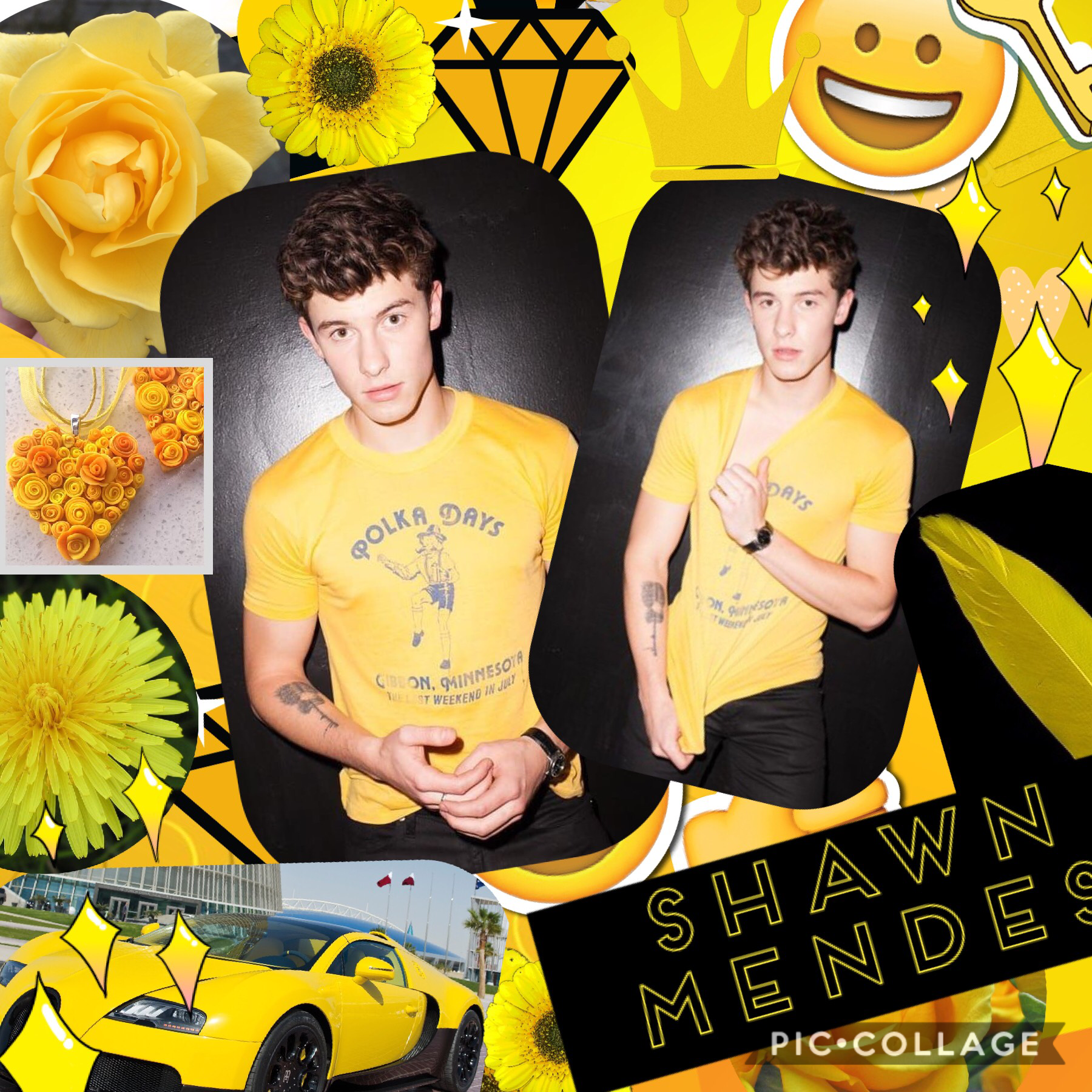 I 💛 Shawn Mendes 