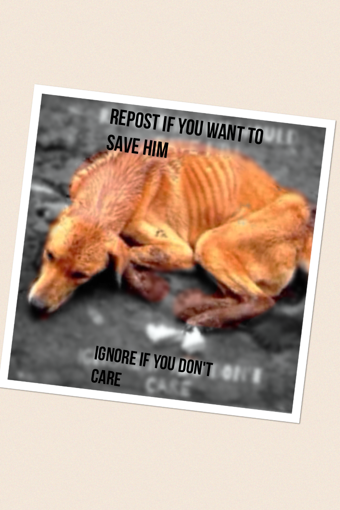 Repost if you want to save him 