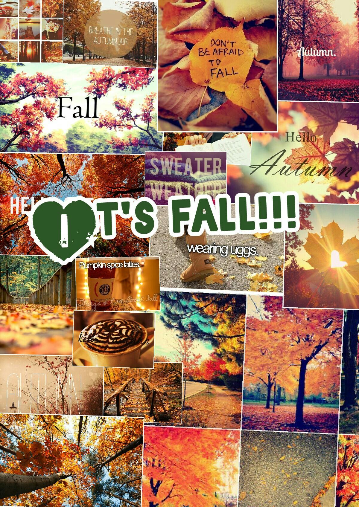It's fall!!!🍃🍂🍁
