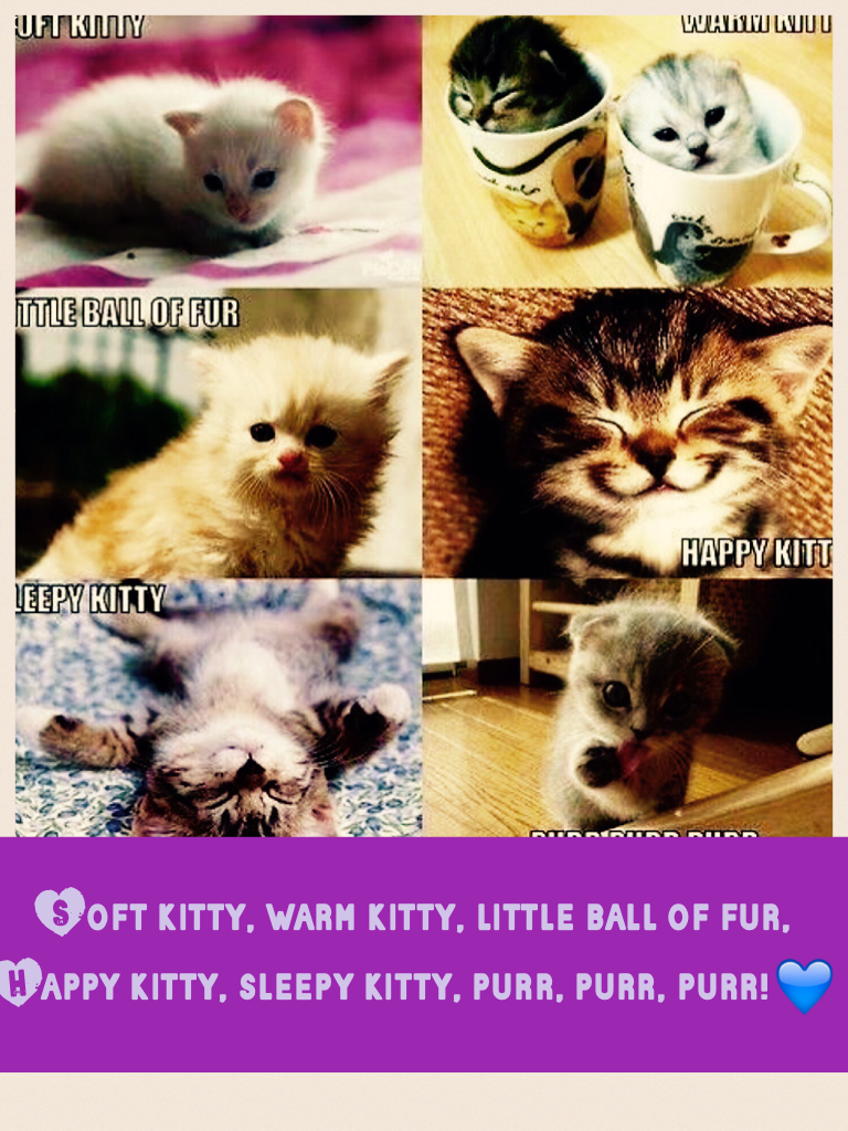 Soft kitty, warm kitty, little ball of fur,
Happy kitty, sleepy kitty, purr, purr, purr!💙