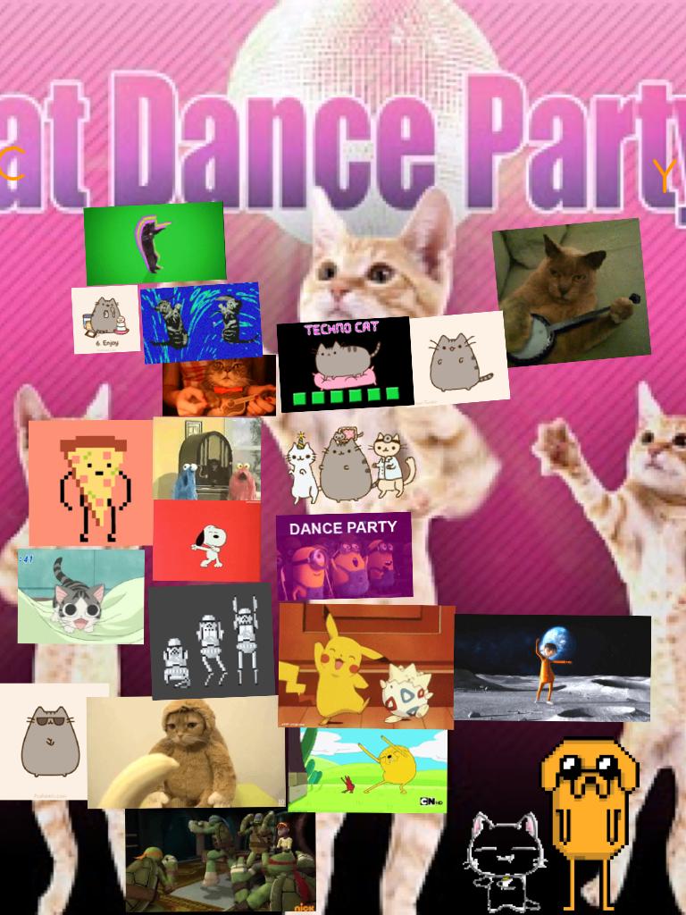 Cat dance party