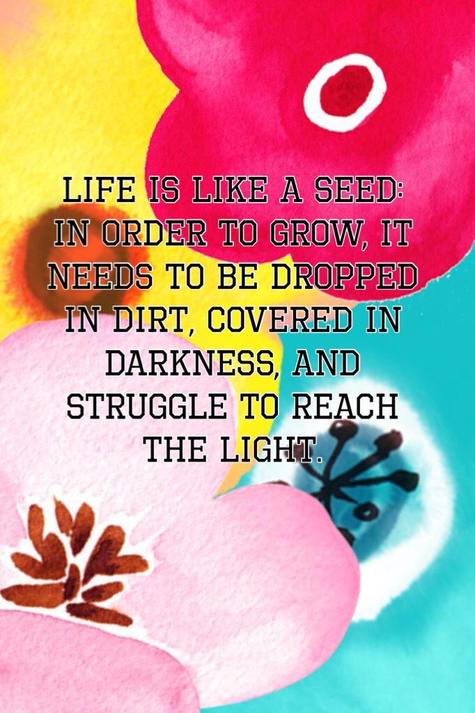 Life is like a seed