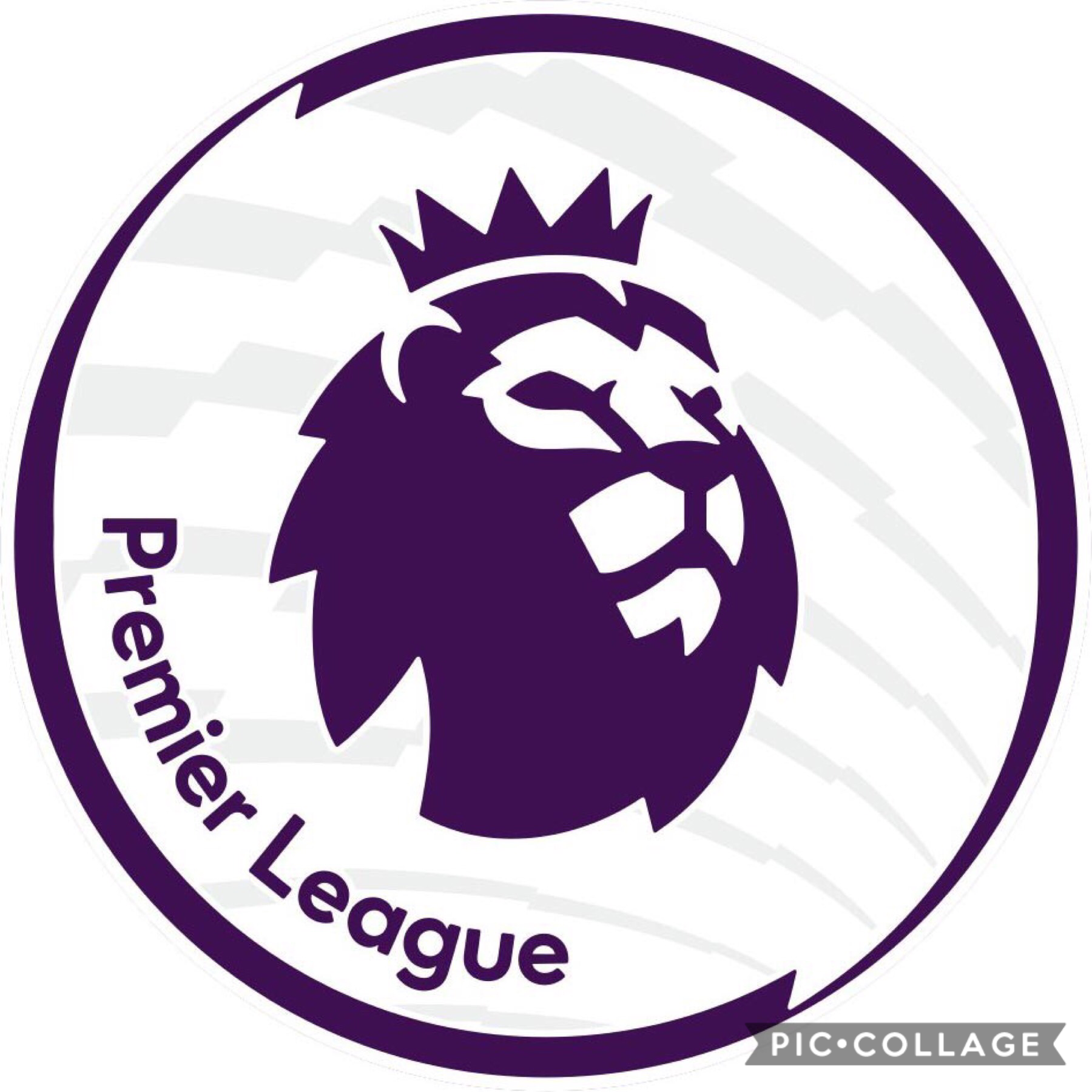 The Premier League Begins!