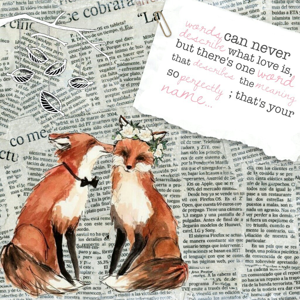 💋TAP💋
The text is awful...
But I like the foxes!
Which one do you prefer?
I think both of them cute!
Xoxo,
Rosie
